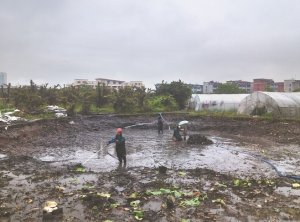 福州河道鱼塘清淤